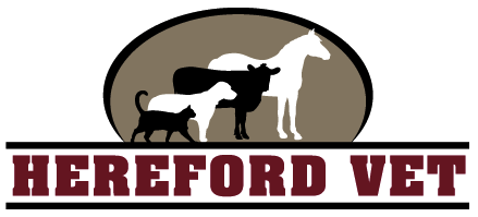 Hereford Veterinary Clinic